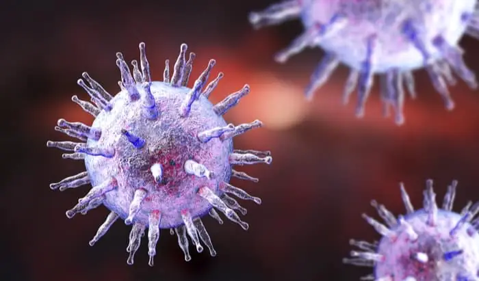 First Comprehensive Survey of Virus DNA Found Within Cancer Cells