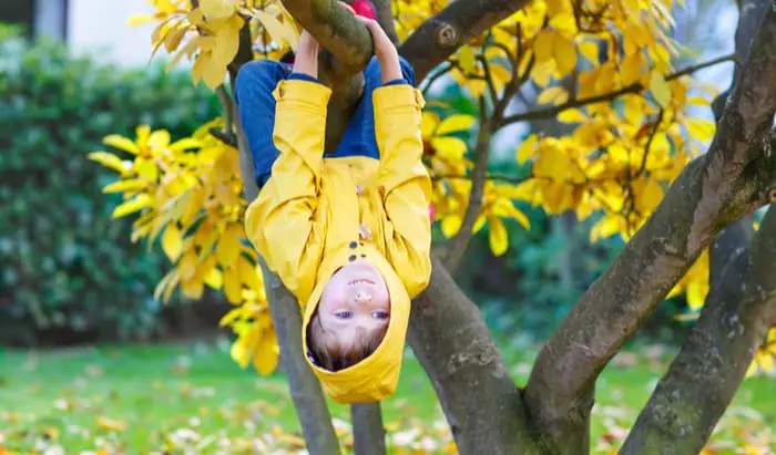 Top 5 causes of serious injury for children serious injury