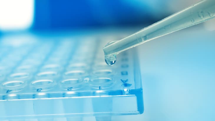 stem cell