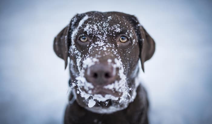 Winter Weather