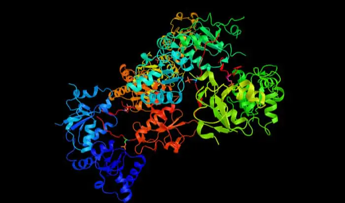 Researchers identify new pathways to target breast cancer pathways