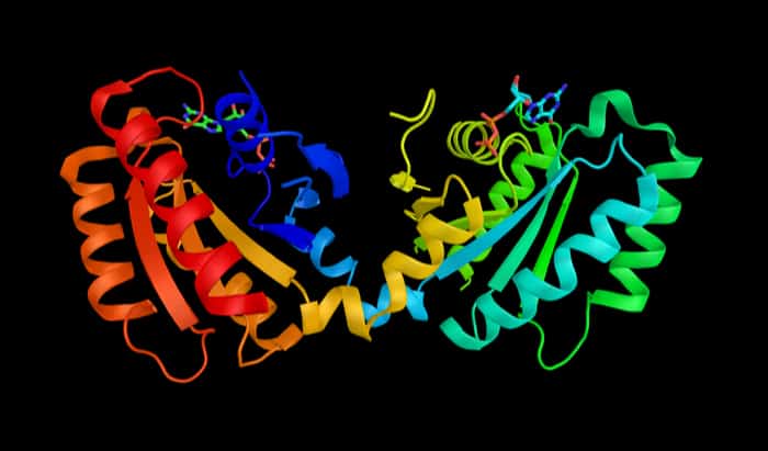 Pioneering Parkinson’s research at the RVC