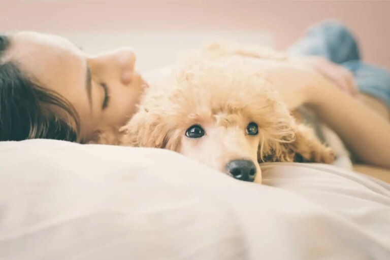 People attached to their pets more likely to be depressed during lockdown