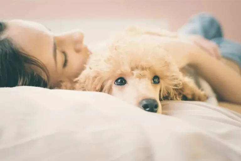 People attached to their pets more likely to be depressed during lockdown