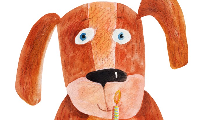 Dogs don’t do chocolate