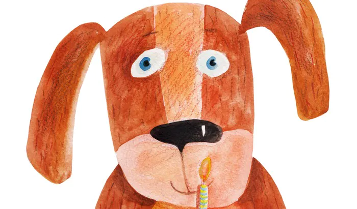 Dogs don’t do chocolate
