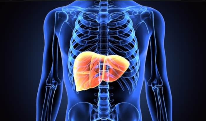 Chronic inflammatory liver disease treatment