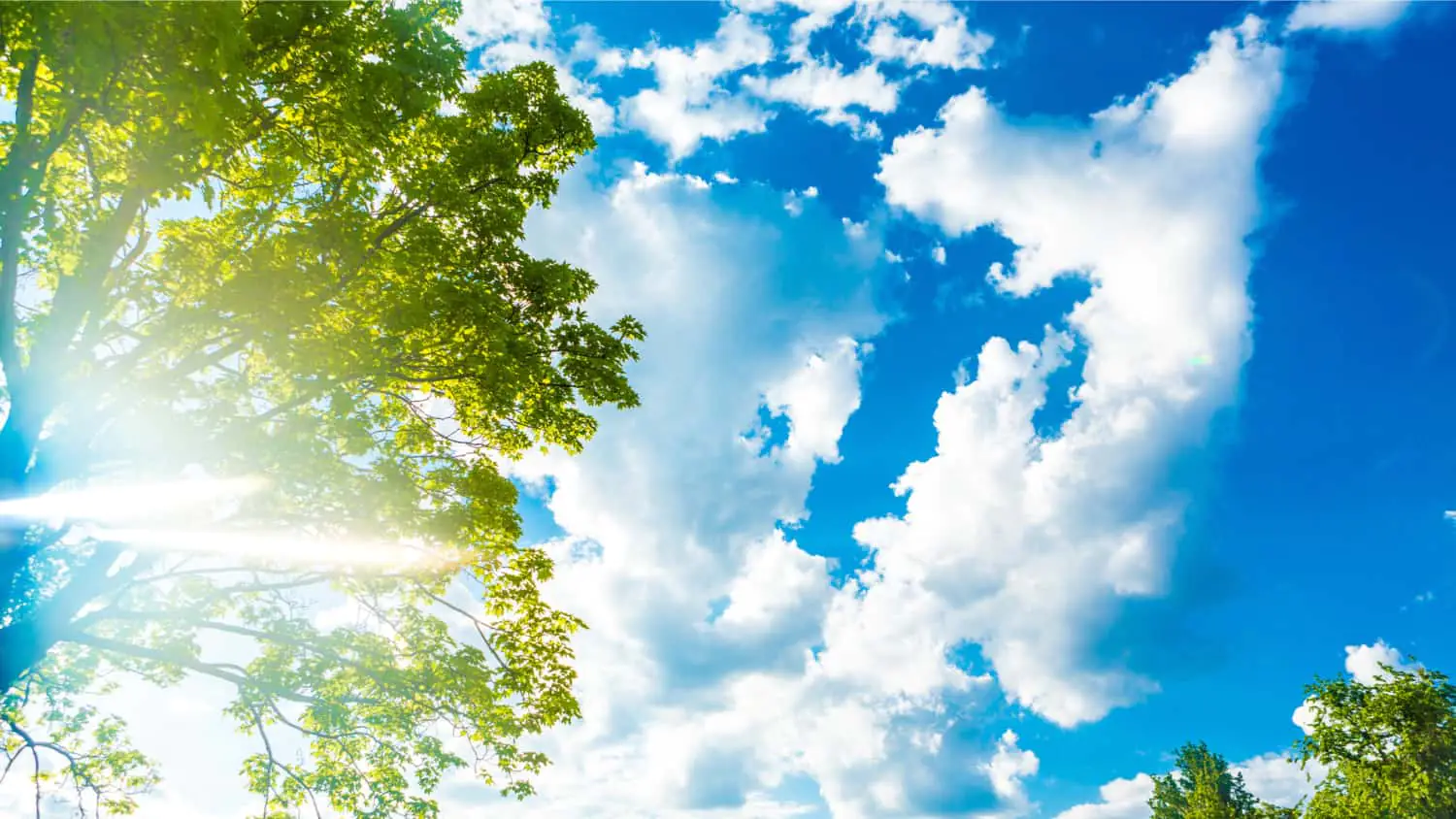 Warmer temperatures lessen Covid-19 spread, but control measures still needed warmer