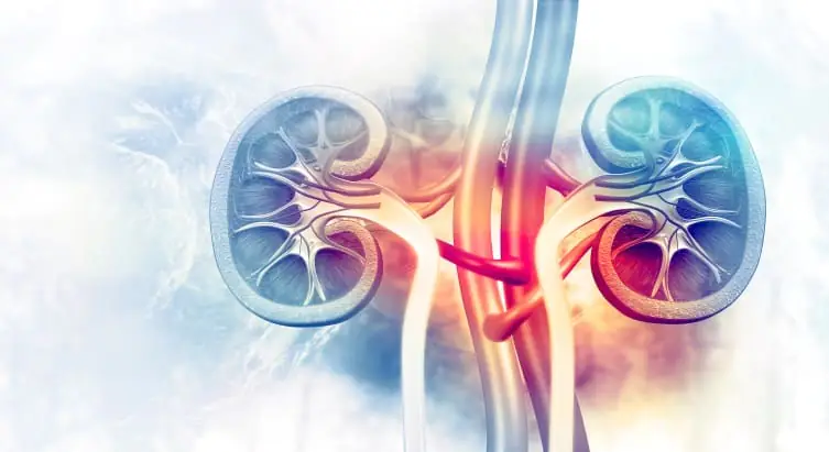 COVID kidney injury twice as common as diagnosed kidney injury