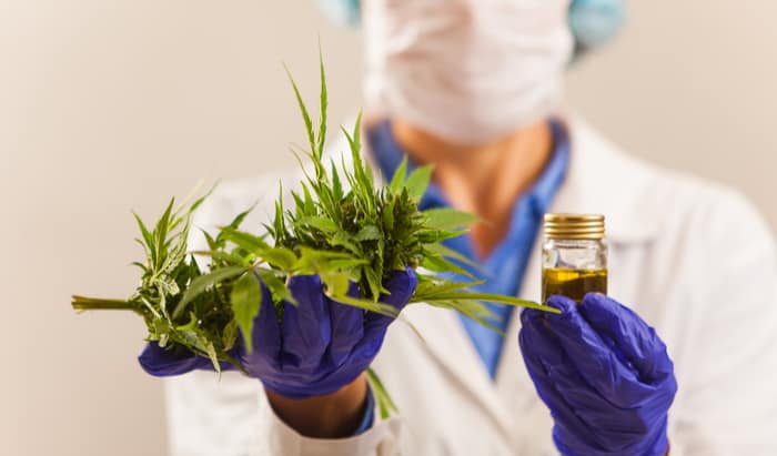 Cannabis is fuelling psychoses