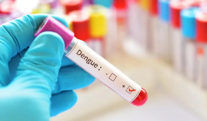 Winning against dengue in Indonesia