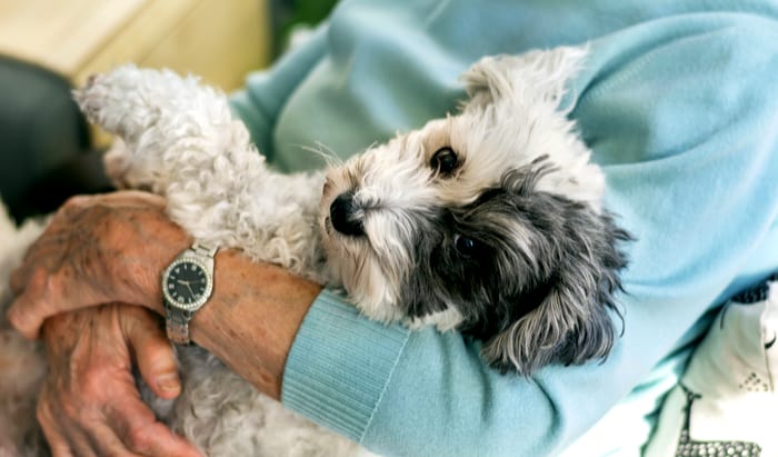 How to make living alone as a senior easier 