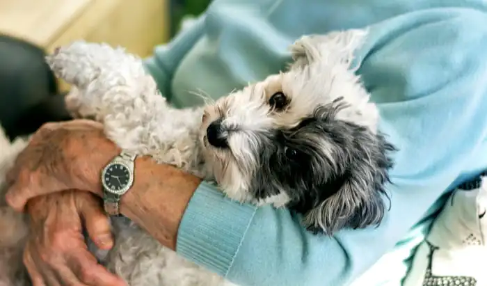 How to make living alone as a senior easier senior