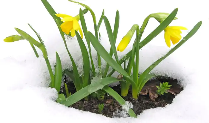 Spring has sprung!