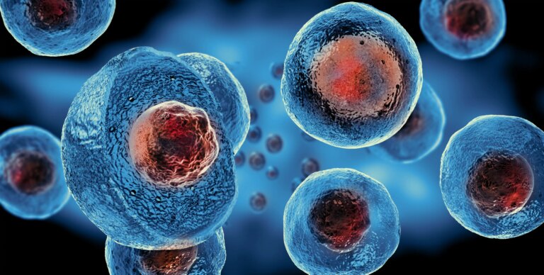 Stem cell research for ‘untreatable’ STDs