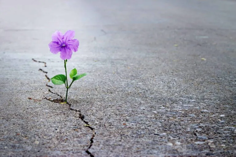 Hope Virgo Meets And Inspires Patients at Priory Eating Disorder Clinic