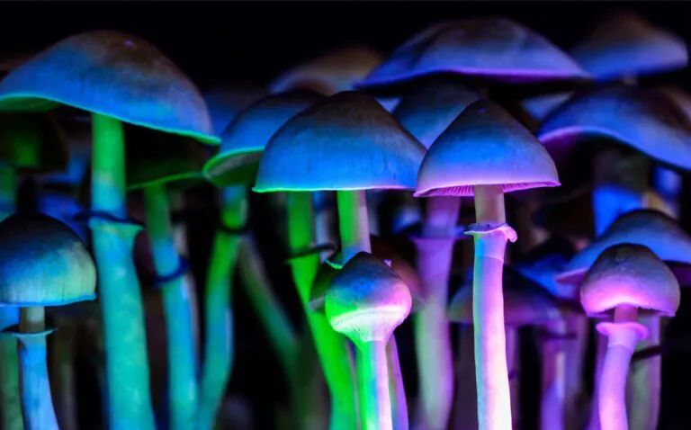 Psilocybin: Magic mushroom compound increases brain connectivity