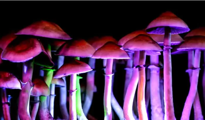 Psilocybin, the magic mushroom compound for treating depression