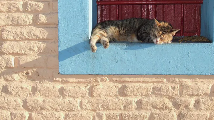 The ‘Cat with Nine Lives’ syndrome