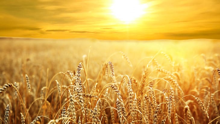 Vitamin D deficiency in older people