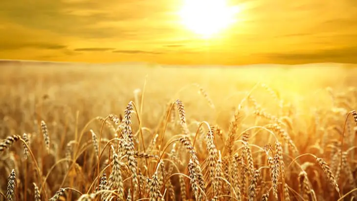 Vitamin D deficiency in older people