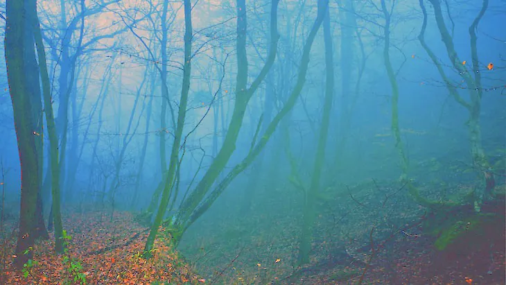 Down in the swampy lowlands The Hippocratic Post - profession