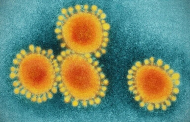 Intense influenza season driven by new strain