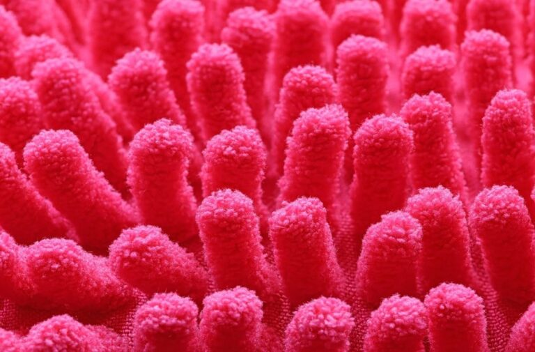 New research uncovers how the microbiome helps fight melanoma