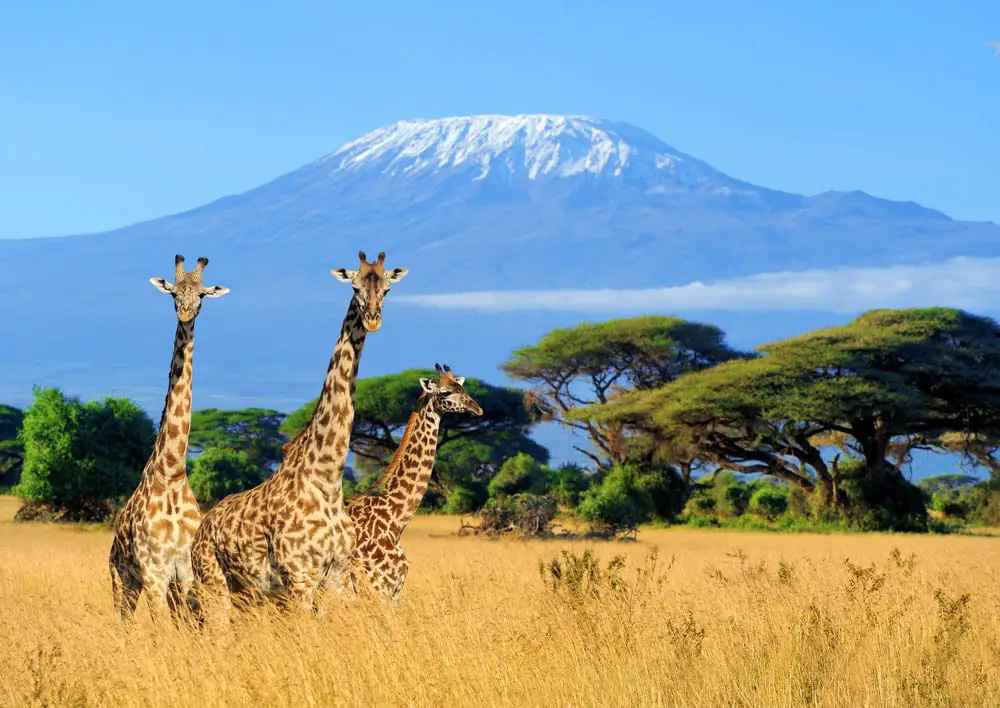 Heart specialists in Kenya to provide lifesaving treatments